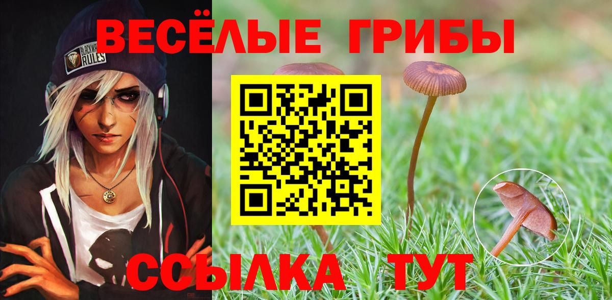 Псилоцибиновые грибы Psilocybe  Псилоцибиновые грибы ЛСД  Вход с VPN  купить   Гатчина 