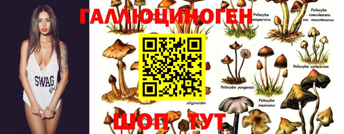 Галлюциногенные грибы MAGIC MUSHROOMS Гатчина